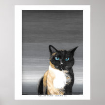 パック、プレーン、およびシンプル