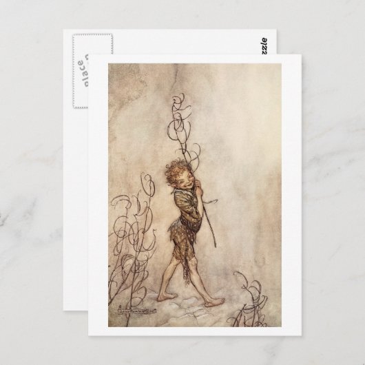 パック ポストカード (正面/裏面)