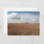 パック（ポーランド） ポストカード (正面/裏面)