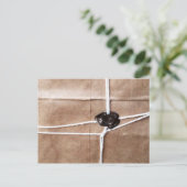 パッケージの郵便はがき ポストカード (スタンド正面)