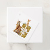 パッケージプレゼントに登場する美しいアビシニアン猫たち フェイバータグ (インサイチュ)