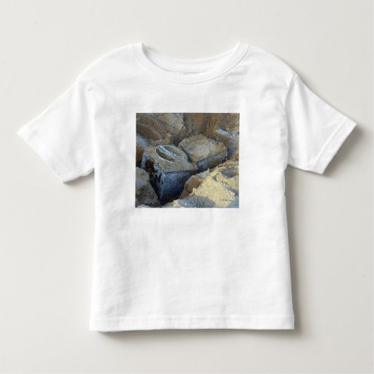 パッケージ化された2つのボックス・タイプ・デバイス トドラーTシャツ (正面)