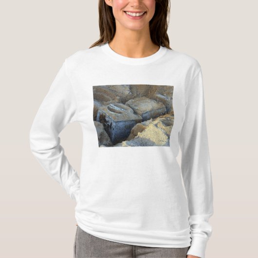 パッケージ化された2つのボックス・タイプ・デバイス Tシャツ (正面)