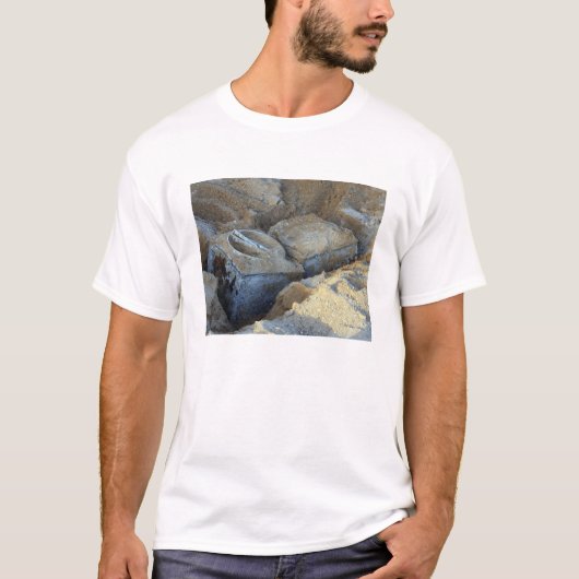 パッケージ化された2つのボックス・タイプ・デバイス Tシャツ (正面)