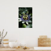 パッシフローラフルーアドゥラパッションVポスター ポスター (キッチン)