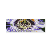 パッシフローラ3花の写真