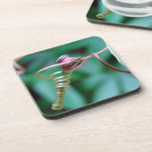 パッションつる植物コルクコースター コースター (左側)