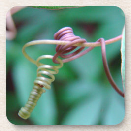 パッションつる植物コルクコースター コースター