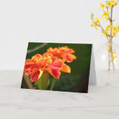 パッションカード カード (黄色い花)