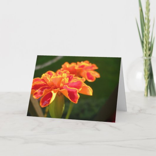 パッションカード カード (正面)