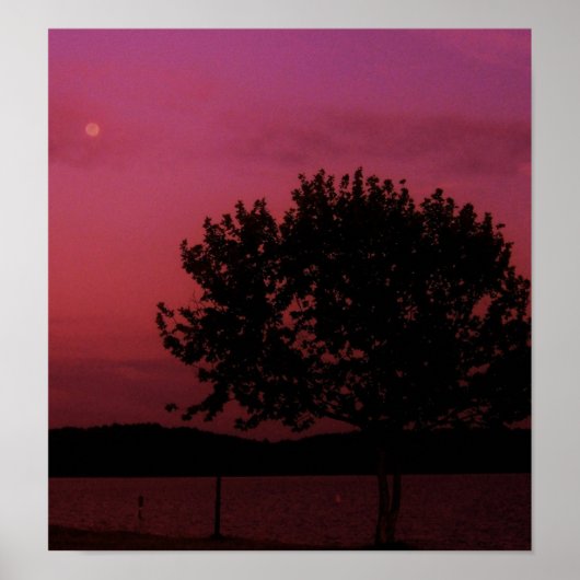 パッションツリー ポスター (正面)