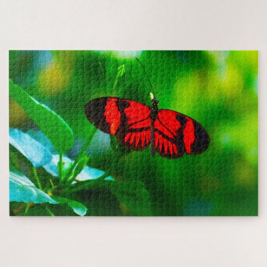 パッションバタフライ。 ジグソーパズル (横)