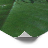 パッションフラワーとバタフライ ポスター (角)