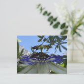 パッションフラワーに2匹のハチDIYポストカード ポストカード (スタンド正面)