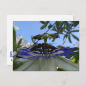 パッションフラワーに2匹のハチDIYポストカード ポストカード (正面/裏面)