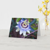 パッションフラワーカード カード (黄色い花)