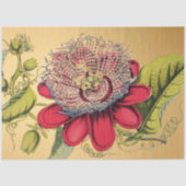 パッションフラワーヴィンテージレッド金ゴールドイラストレーション 薄葉紙 (正面)