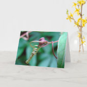 パッションフラワー カード (黄色い花)