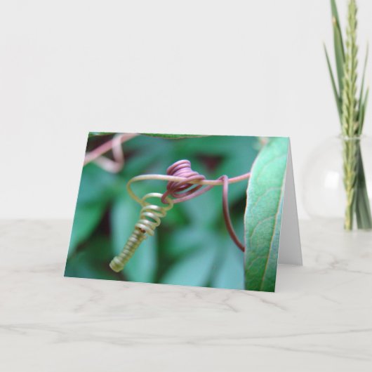 パッションフラワー カード (正面)