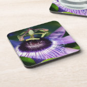 パッションフラワー コースター (左側)