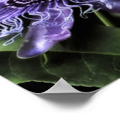 パッションフラワー ポスター (角)