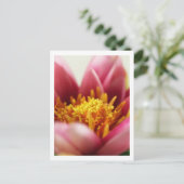 パッションフラワー ポストカード (スタンド正面)