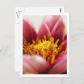 パッションフラワー ポストカード (正面/裏面)