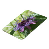 パッションフラワー マグネット (左側)