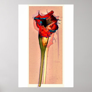 パッションフラワー#1 ポスター