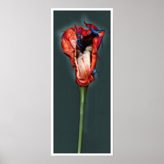 パッションフラワー#5 ポスター (正面)