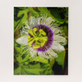 パッションフルーツフラワー、アナイナホウ庭園、キラウエア、 ジグソーパズル (縦)
