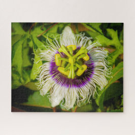 パッションフルーツフラワー、アナイナホウ庭園、キラウエア、 ジグソーパズル