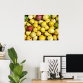 パッションフルーツ ポスター (ホームオフィス)