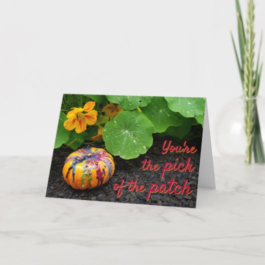 パッチの選択 カード (正面)