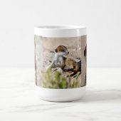 パッチのMeerkatのマグ コーヒーマグカップ (中央)
