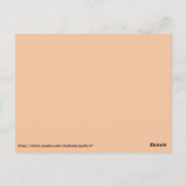 パッチカーペットアートポストカード ポストカード (裏面)