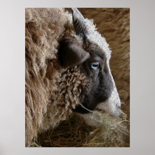 パッチワーク・エイミー ポスター (正面)