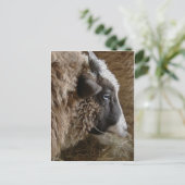 パッチワーク・エイミー ポストカード (スタンド正面)