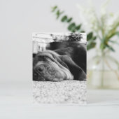 パッチ・ブラッドハウンド ポストカード (スタンド正面)