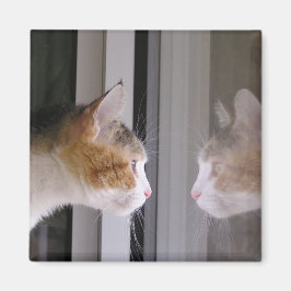 パッチ マグネット