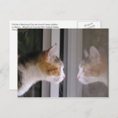 パッチ 案内ポストカード (正面/裏面)