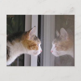 パッチ 案内ポストカード