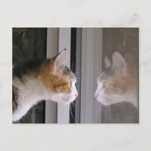 パッチ 案内ポストカード (正面)