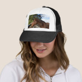 パットを愛する大きな茶色の馬のベニー。 キャップ (インサイチュ)