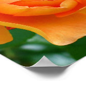 パットオースティンバラ ポスター (角)