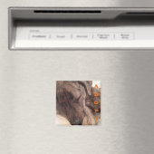 パットハウンドマグネット マグネット (インサイチュ (食洗機))