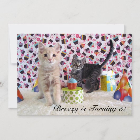 パットンとバッフィントン（猫/子猫）の誕生日 招待状 (正面)