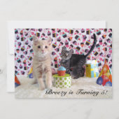 パットンとバフィントン（猫/子猫）の誕生日 招待状 (正面)