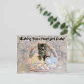 パットンのイースターバスケット – はがき (スタンド正面)