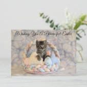 パットンのイースターバスケット - 猫/子猫 - フラットカード シーズンカード (スタンド正面)